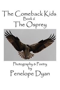 The Comeback Kids, Book 6, The Osprey