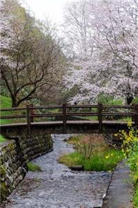 Trees Full of Cherry Blossoms and a Foot Bridge in Japan Journal