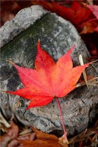 A Lovely Red Autumn Leaf Journal