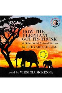 How the Elephant Got Its Trunk & Other Wild Animal Stories