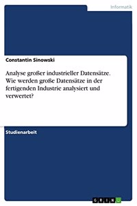Analyse großer industrieller Datensätze. Wie werden große Datensätze in der fertigenden Industrie analysiert und verwertet?