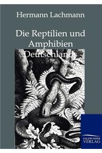 Reptilien Und Amphibien Deutschlands