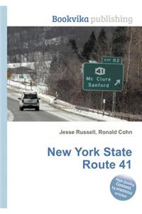 New York State Route 41
