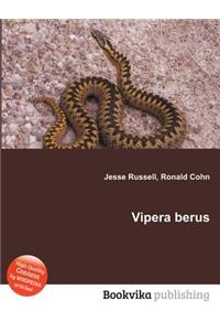 Vipera Berus