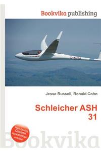 Schleicher Ash 31