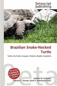 Brazilian Snake-Necked Turtle