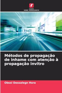 Métodos de propagação de inhame com atenção à propagação invitro