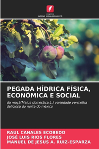 Pegada Hídrica Física, Económica E Social