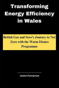 Transforming Energy Efficiency in Wales