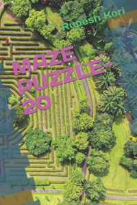Maze Puzzle-20