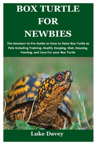 Box Turtle for Newbies