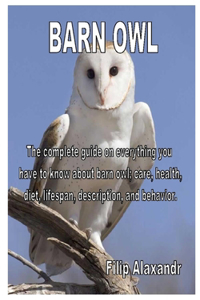 Barn Owl