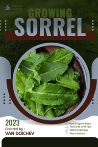 Sorrel