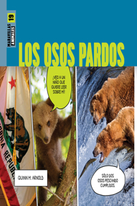 Osos Pardos