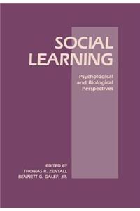 Social Learning