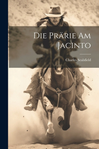 Die Prärie am Jacinto