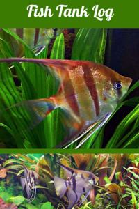 Fish Tank Log
