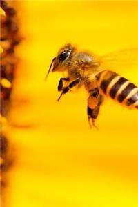The Bee and the Sunflower Journal