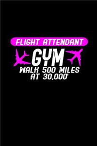 Flight attendant gym walk 500 miles at 30,000'