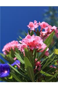 Oleander Gardening Journal
