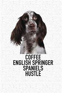 Coffee English Springer Spaniels Hustle