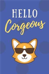 Hello Corgeous
