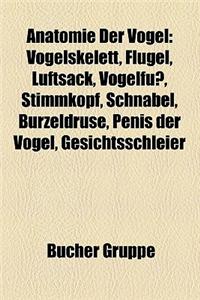 Anatomie Der Vogel