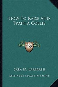 How to Raise and Train a Collie