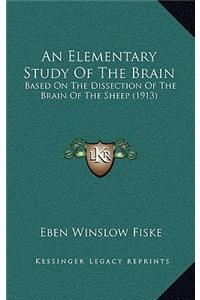 An Elementary Study Of The Brain
