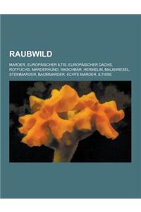 Raubwild: Marder, Europaischer Iltis, Europaischer Dachs, Rotfuchs, Marderhund, Waschbar, Hermelin, Mauswiesel, Steinmarder, Bau