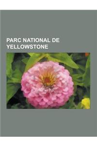 Parc National de Yellowstone