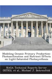 Modeling Oceanic Primary Production
