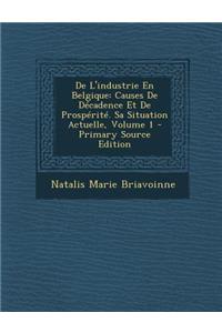 de L'Industrie En Belgique: Causes de Decadence Et de Prosperite. Sa Situation Actuelle, Volume 1