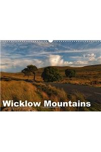 Wicklow Mountains 2017