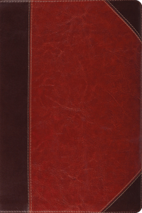 ESV Study Bible