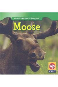 Moose