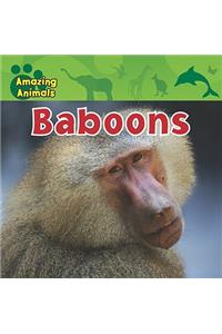Baboons