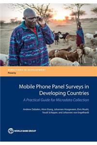 Mobile Phone Panel Surveys in Developing Countries