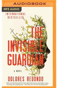 Invisible Guardian