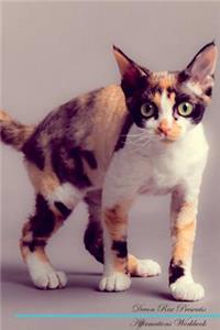 Devon Rex Affirmations Workbook Devon Rex Presents