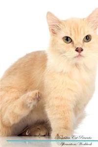Munchkin Cat Affirmations Workbook Munchkin Cat Presents