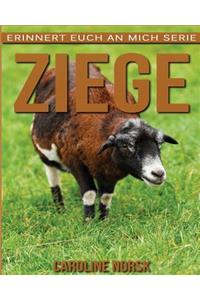 Ziege