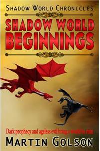Shadow World Beginnings (Shadow World Chronicles Book 2)