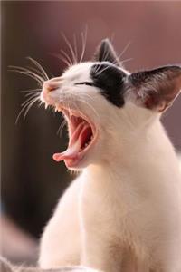 Mom, When's Dinner? Cute Kitten Journal