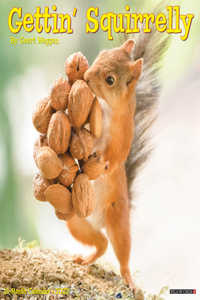 Gettin' Squirrelly 2022 Wall Calendar (Squirrels)