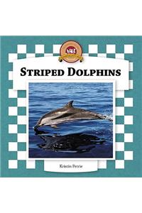 Striped Dolphins