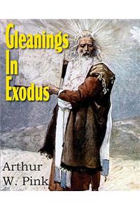 Gleanings in Exodus