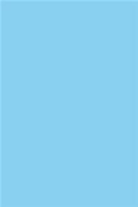 2020 Daily Planner Baby Blue Color Simple Plain Baby Blue 388 Pages
