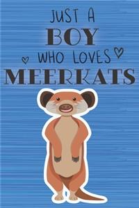 Just a Boy Who Loves Meerkats