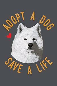 Adopt A Dog Save A Life